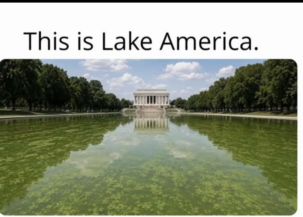 5a0ac90a208d0f19025b0563.jpeg